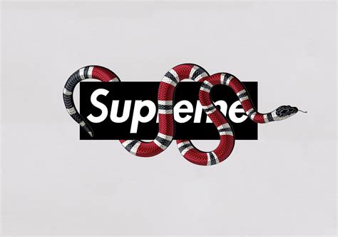 gucci supreme.